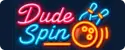 DudeSpin 